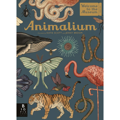 bookspeed Animalium