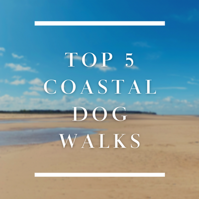 Explore// Coastal Dog Walks