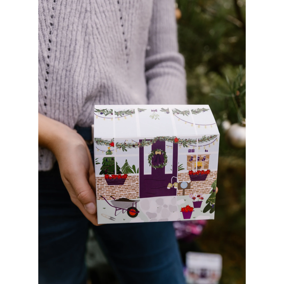 flower seeds advent calendar 'Flower Seed Advent Calendar'