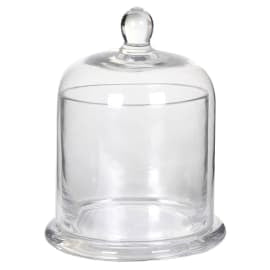 Light Gray Glass Cloche Norfolking Around